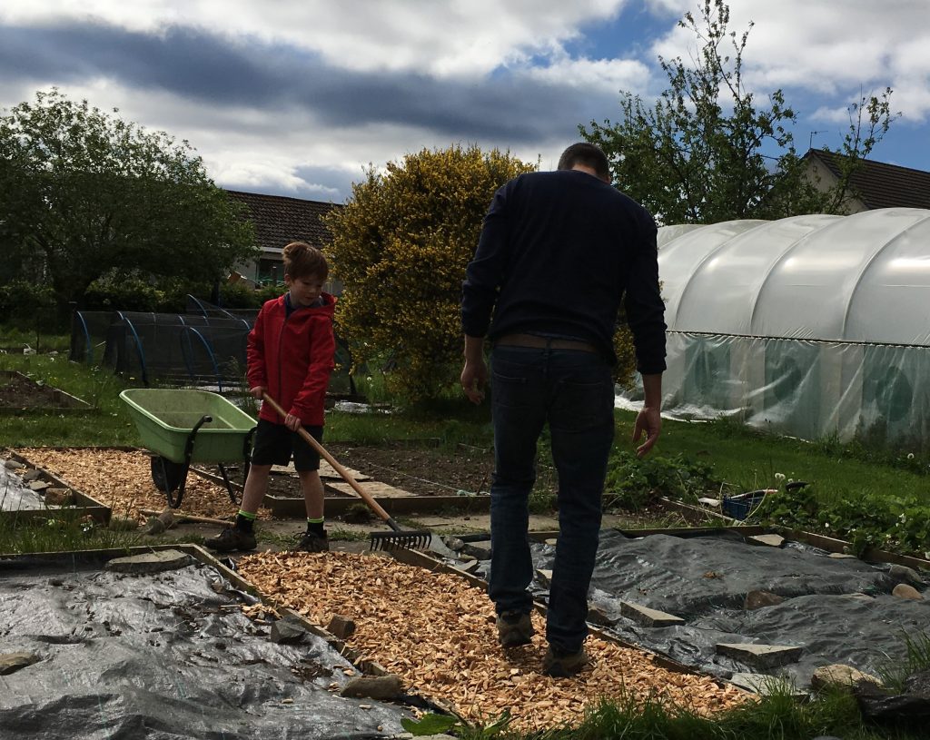 Adult and child in a sunny community garden, raking a woodchip path. 