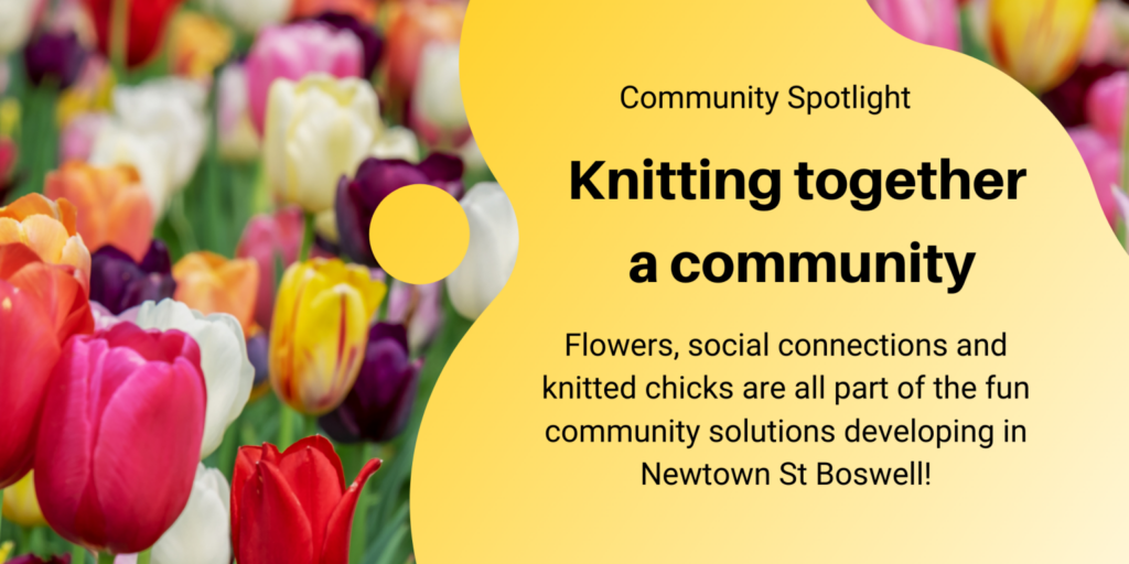 Knitting together a community - flowers, social connections and knitted chicks are all part of the fun community solutions developing in Newtown St Boswells