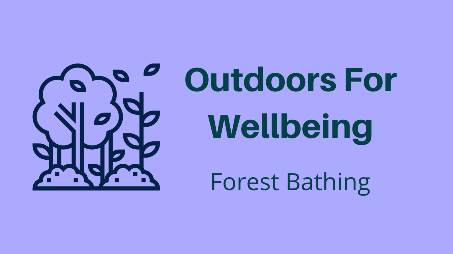 Outdoors for wellbeing #3 - Forest Bathing - Outside the Box