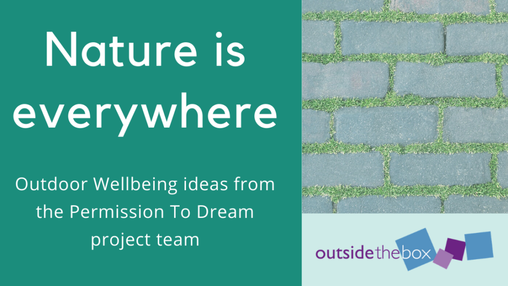 Nature is Everywhere: wellbeing ideas from Permission to Dream