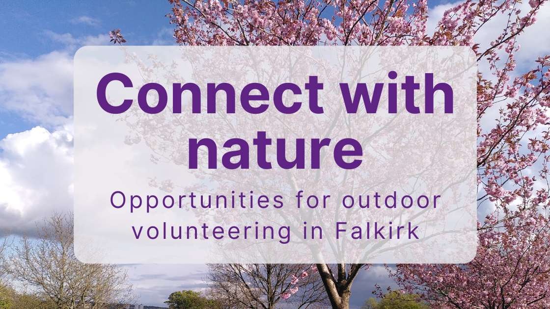 Connect with nature: opportunities for outdoor volunteering in Falkirk