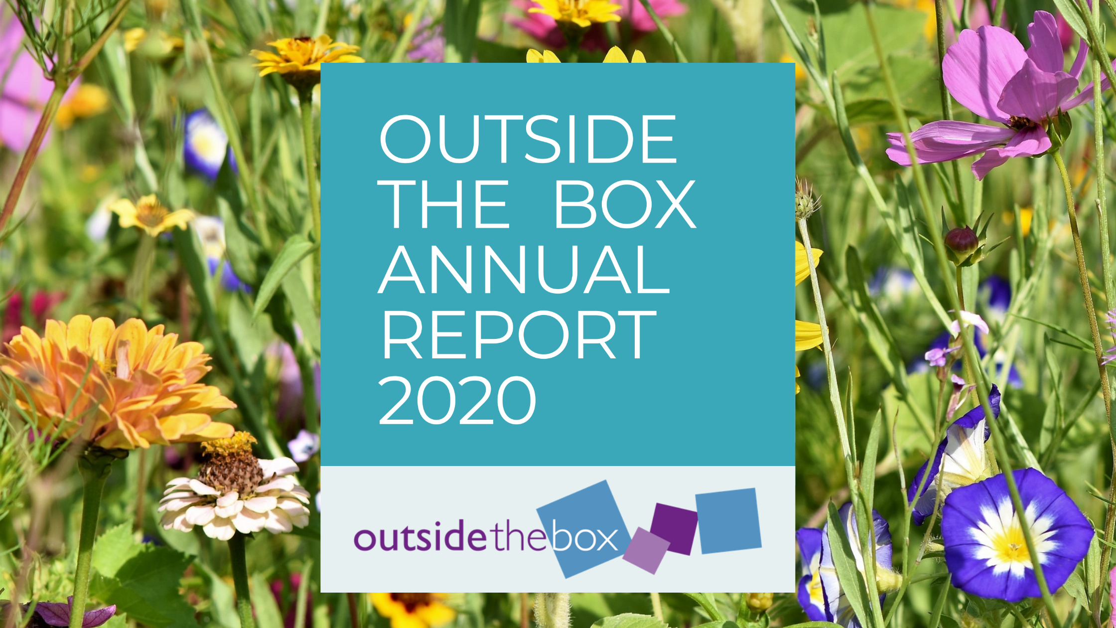 Outside the Box Annual Report 2020 cover