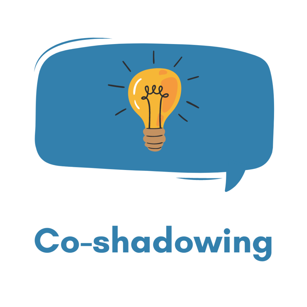 Co-shadowing logo with lightbulb
