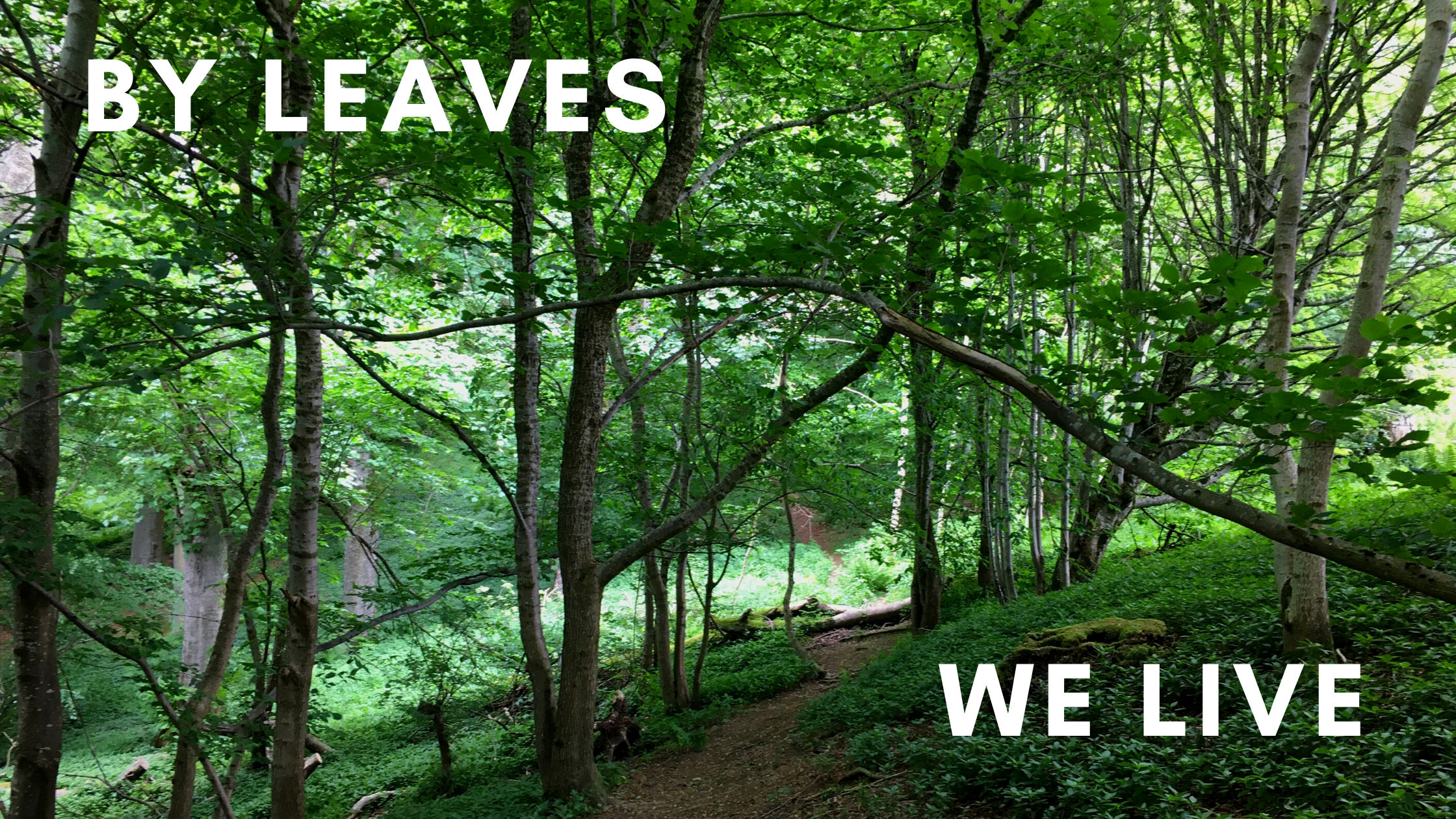 By leaves we live