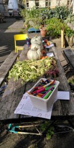 Table outdoors in the sun, with pumpkins and art materials